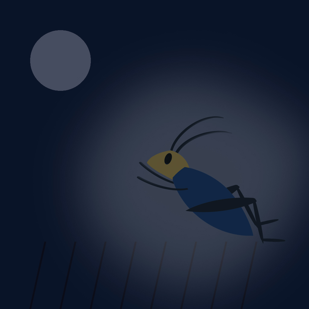 Cricket book